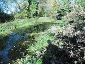 Watercourse in Warwickshire